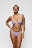 IXIA Slip